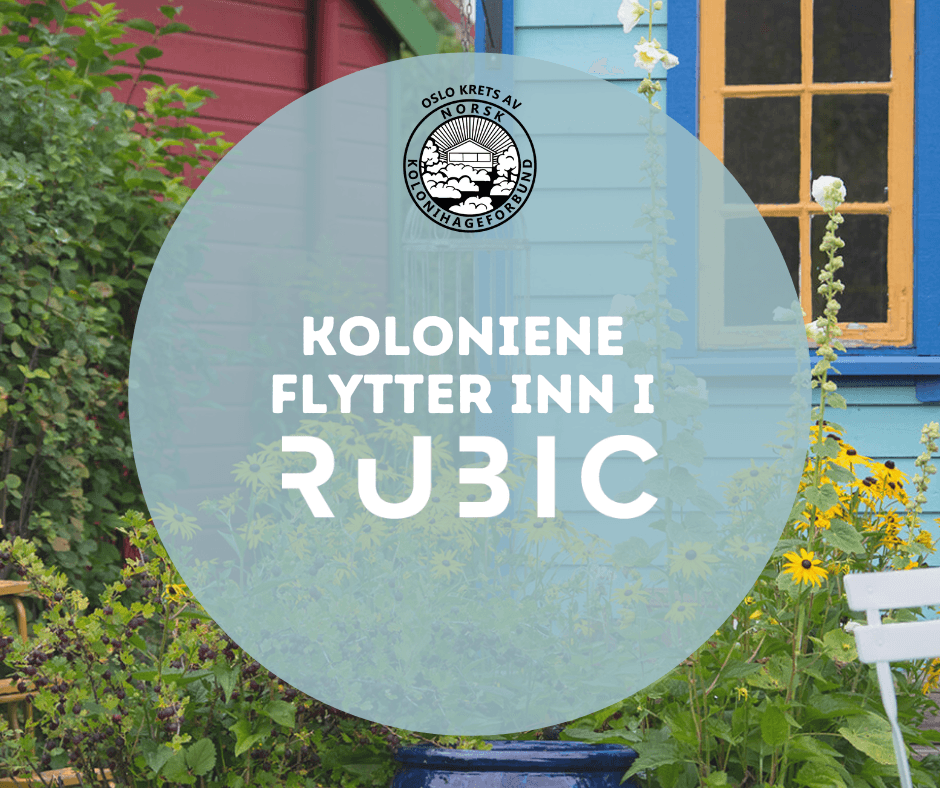 Kolonienen flytter inn i.png,rukruku